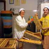 Il periodo migliore per la raccolta � durante la stagione della fioritura, che in Puglia va da aprile ad agosto. In questi mesi gli insetti aumentano la produzione del miele e quindi diventa pi� facile la sua raccolta, evitando nel contempo di sottrarre agli animali scorte essenziali per la sopravvivenza degli alveari